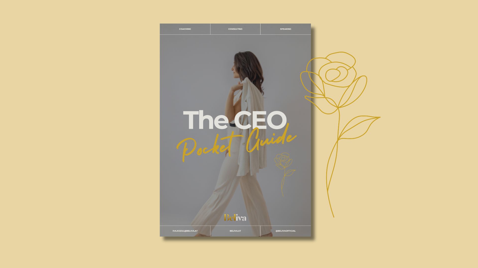 The CEO Pocket Guide